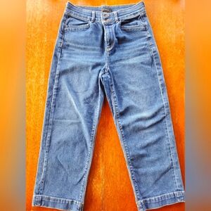Ann Taylor Blue Cropped Jeans